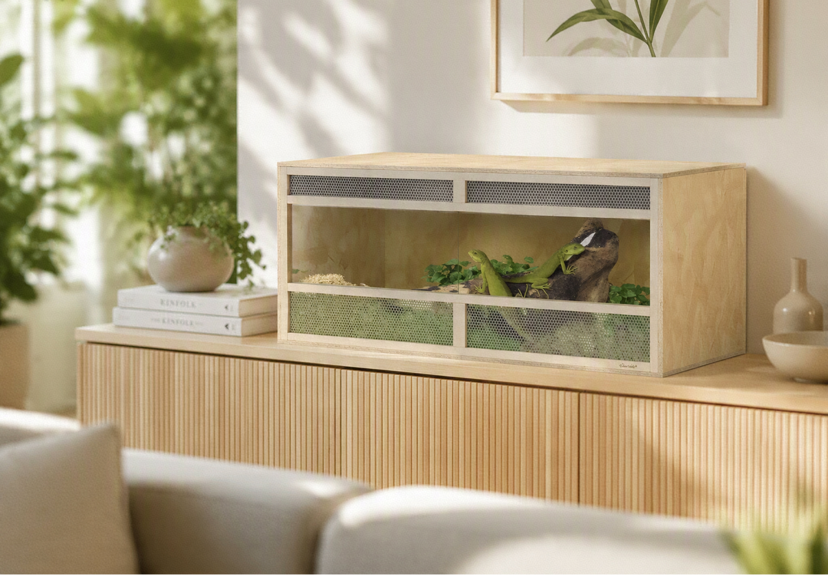 Terrarium OSB 100 cm Portes Coulissantes en Verre