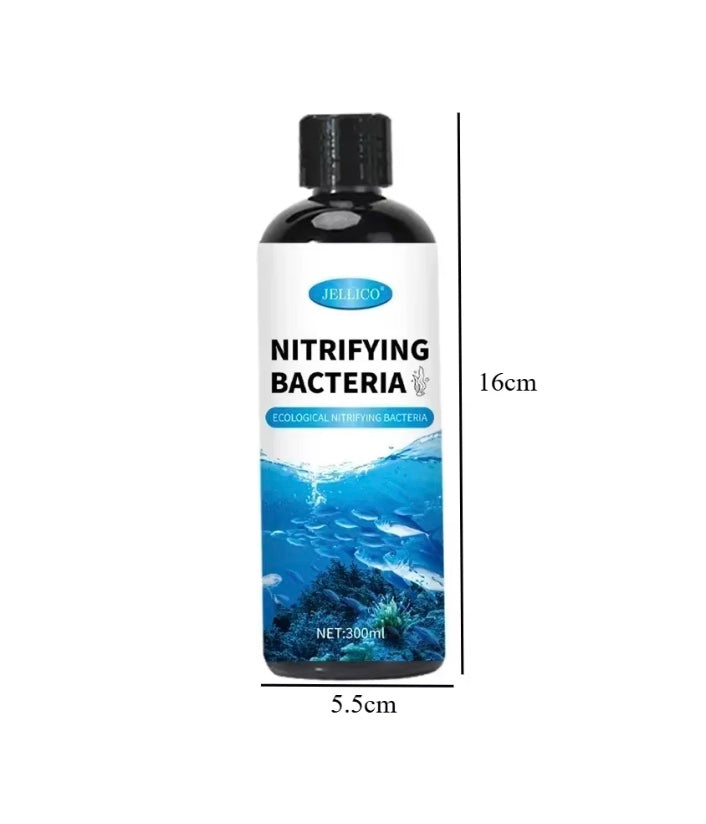 Bactéries Nitrifiantes Liquides pour Aquarium – Purificateur d'Eau 300ml