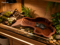 Piscine de Bain pour Reptiles avec Rampe – Bassin Antidérapant Tortue, Gecko, Dragon Barbu