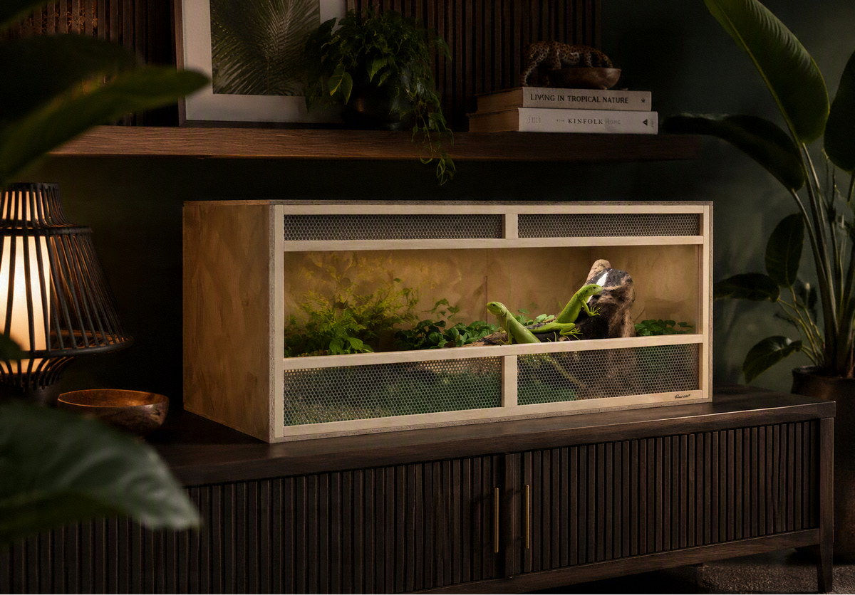Terrarium OSB 100 cm Portes Coulissantes en Verre