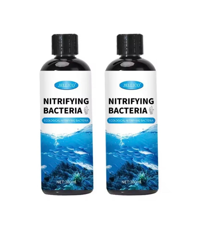 Bactéries Nitrifiantes Liquides pour Aquarium – Purificateur d'Eau 300ml