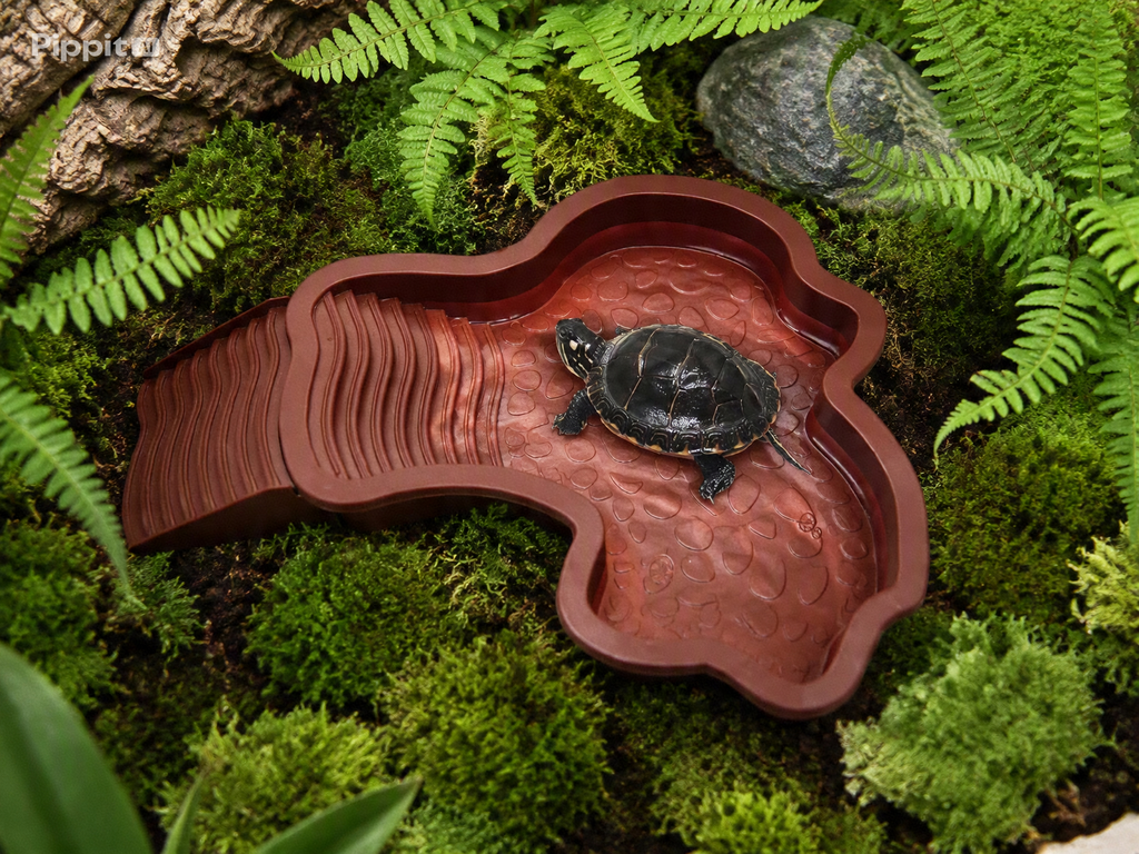 Piscine de Bain pour Reptiles avec Rampe – Bassin Antidérapant Tortue, Gecko, Dragon Barbu