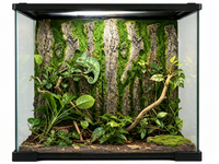 Panneau de Fond Terrarium Écorce 3D 50x30 cm