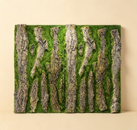 Panneau de Fond Terrarium Écorce 3D 50x30 cm