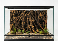 Panneau Racine d'Arbre 3D 45x30 cm Terrarium