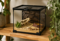 Petit Terrarium Verre 20x20x30 cm, Magnétique