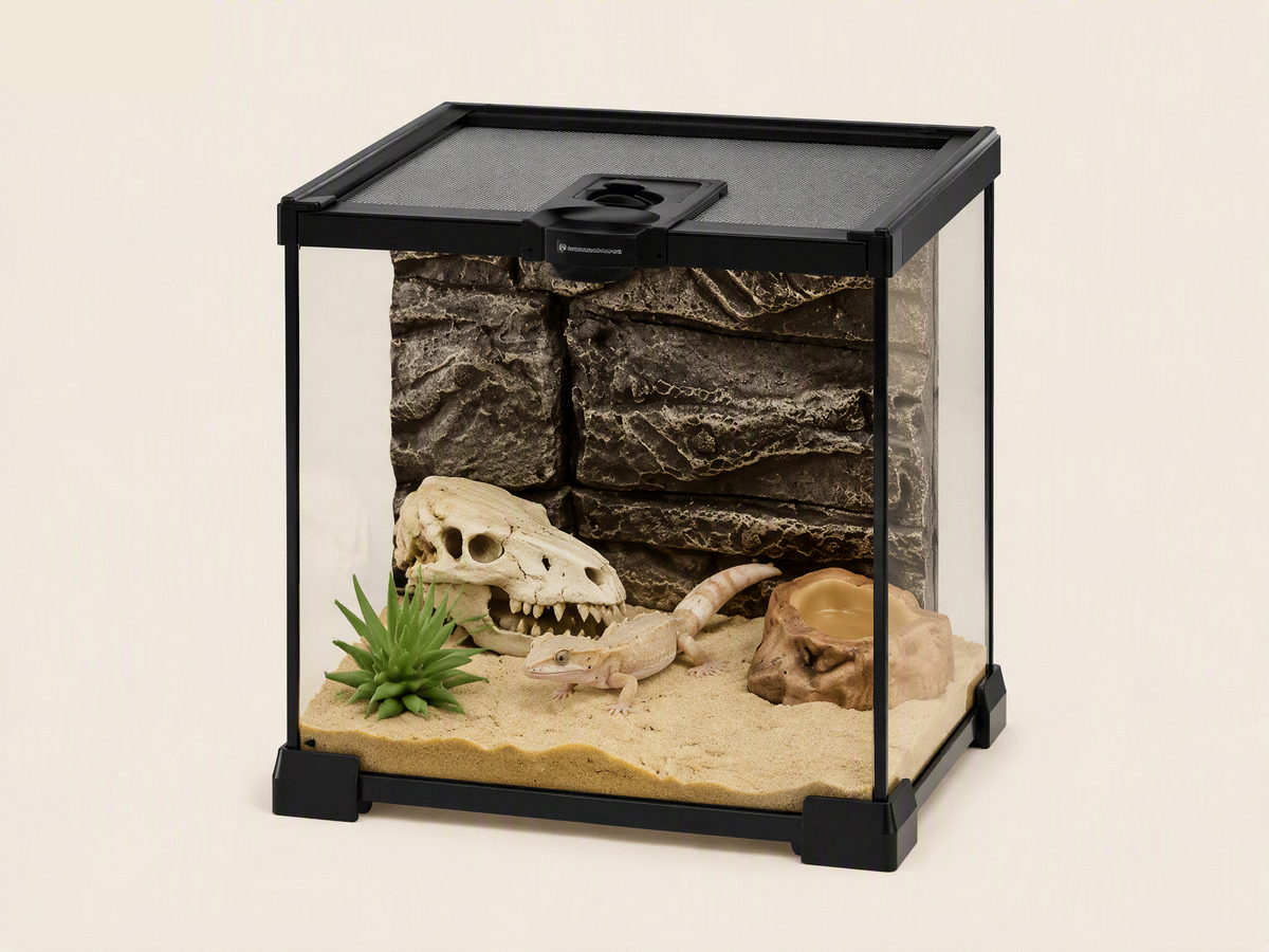 Petit Terrarium Verre 20x20x30 cm, Magnétique
