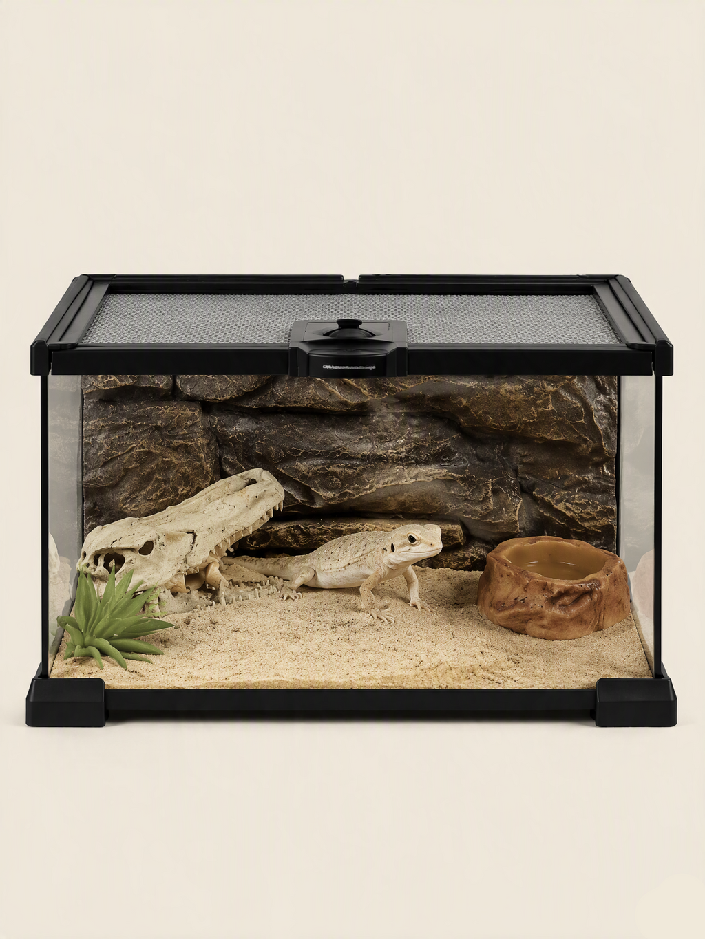 Terrarium Verre Bas 30x20x20 cm, Magnétique