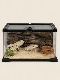 Terrarium Verre Bas 30x20x20 cm, Magnétique