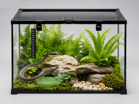 Terrarium en Verre Trempé Multi-Habitat avec Thermomètre – 50x30x35 cm
