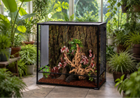 Terrarium Arboricole 91x46x90 cm en Verre