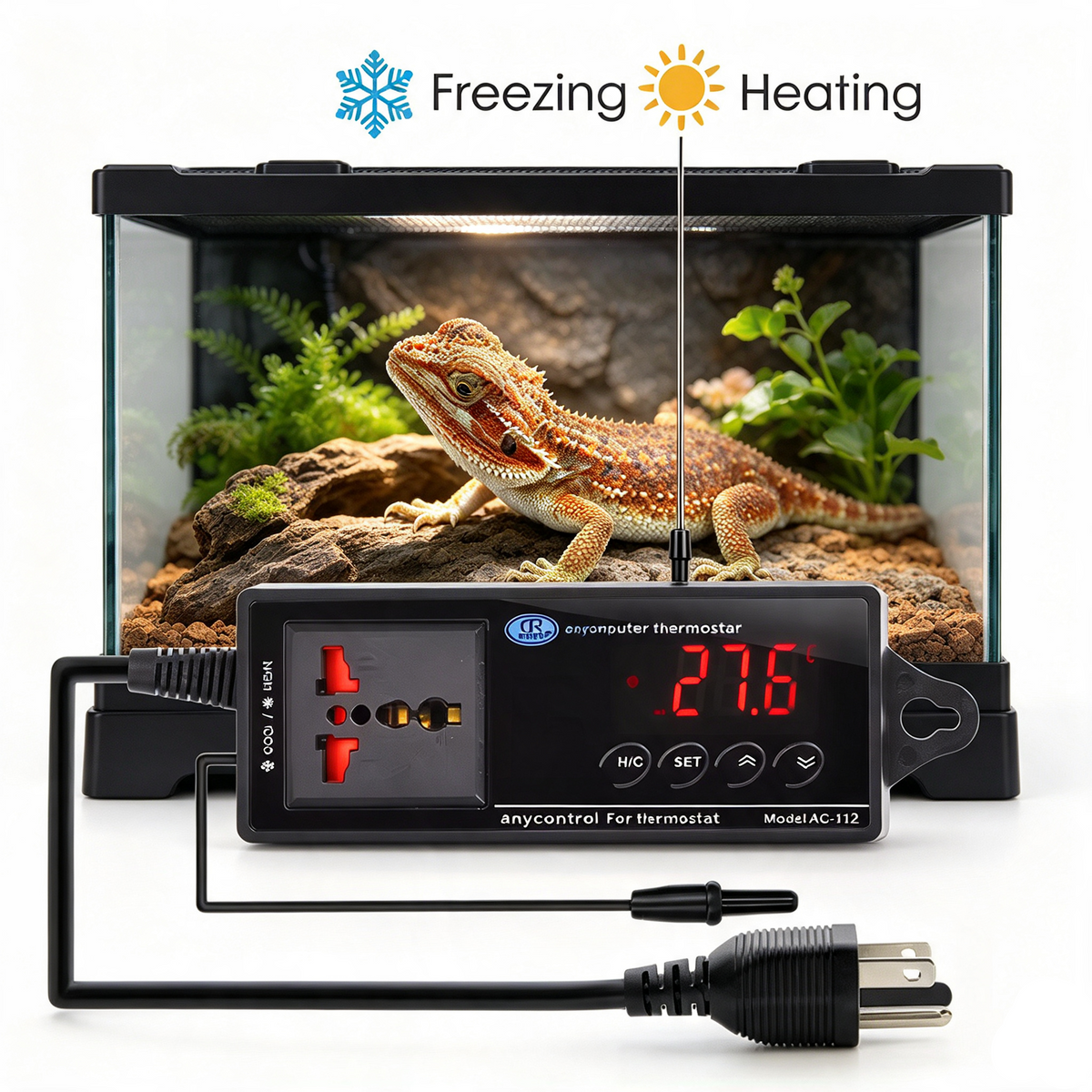 Thermostat Terrarium Numérique 16-40°C, Sonde NTC | Terraliah